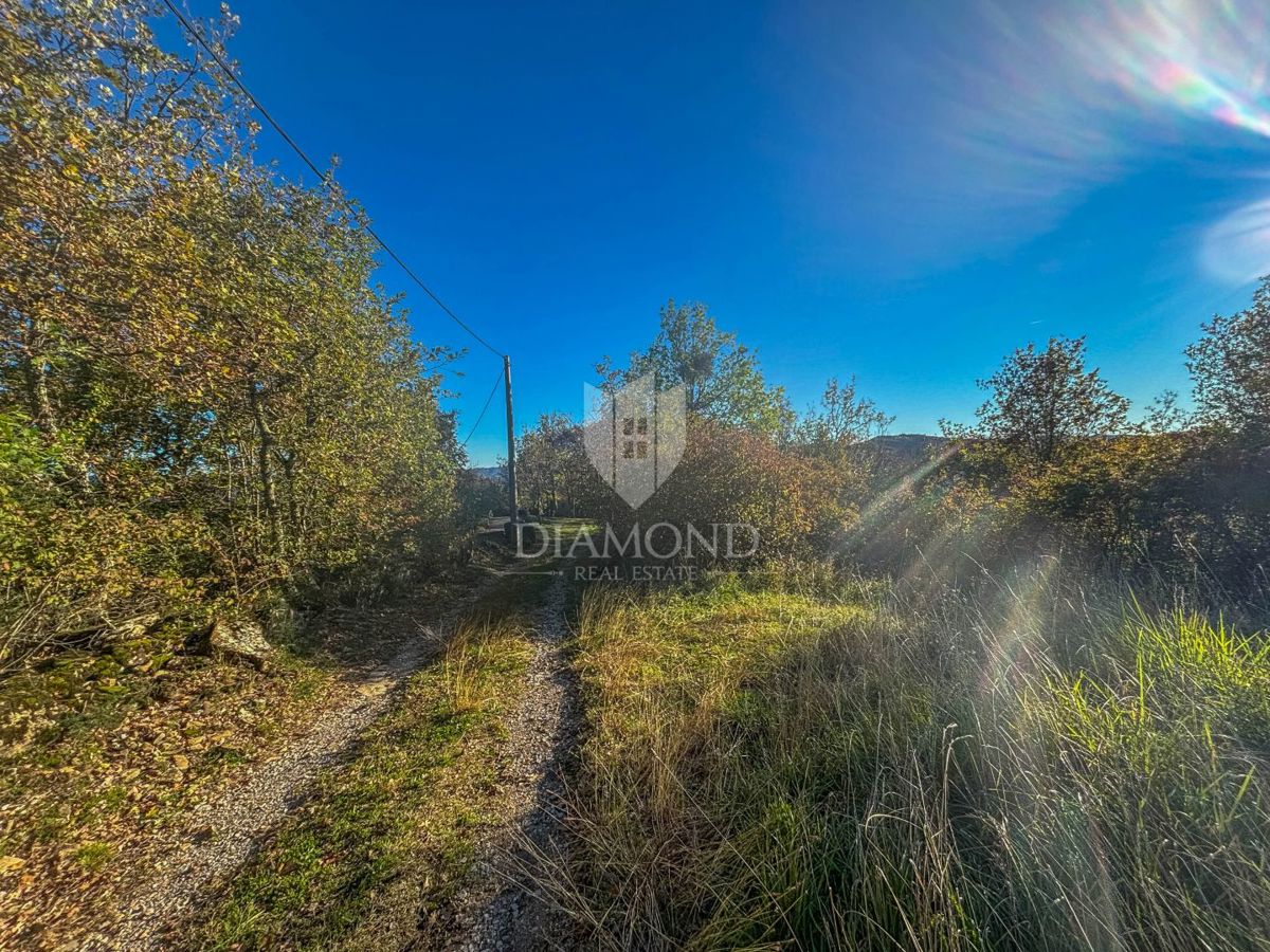 Motovun, Nepremičnina z odličnim razvojnim potencialom!