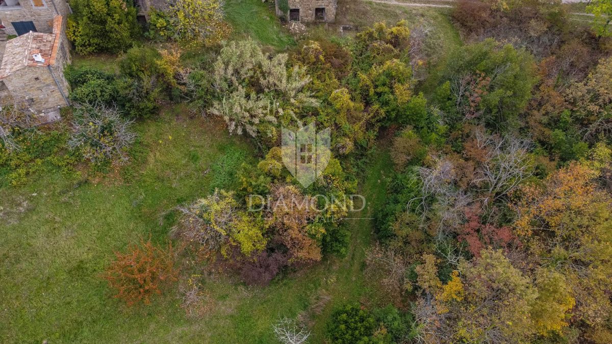 Motovun, Nepremičnina z odličnim razvojnim potencialom!