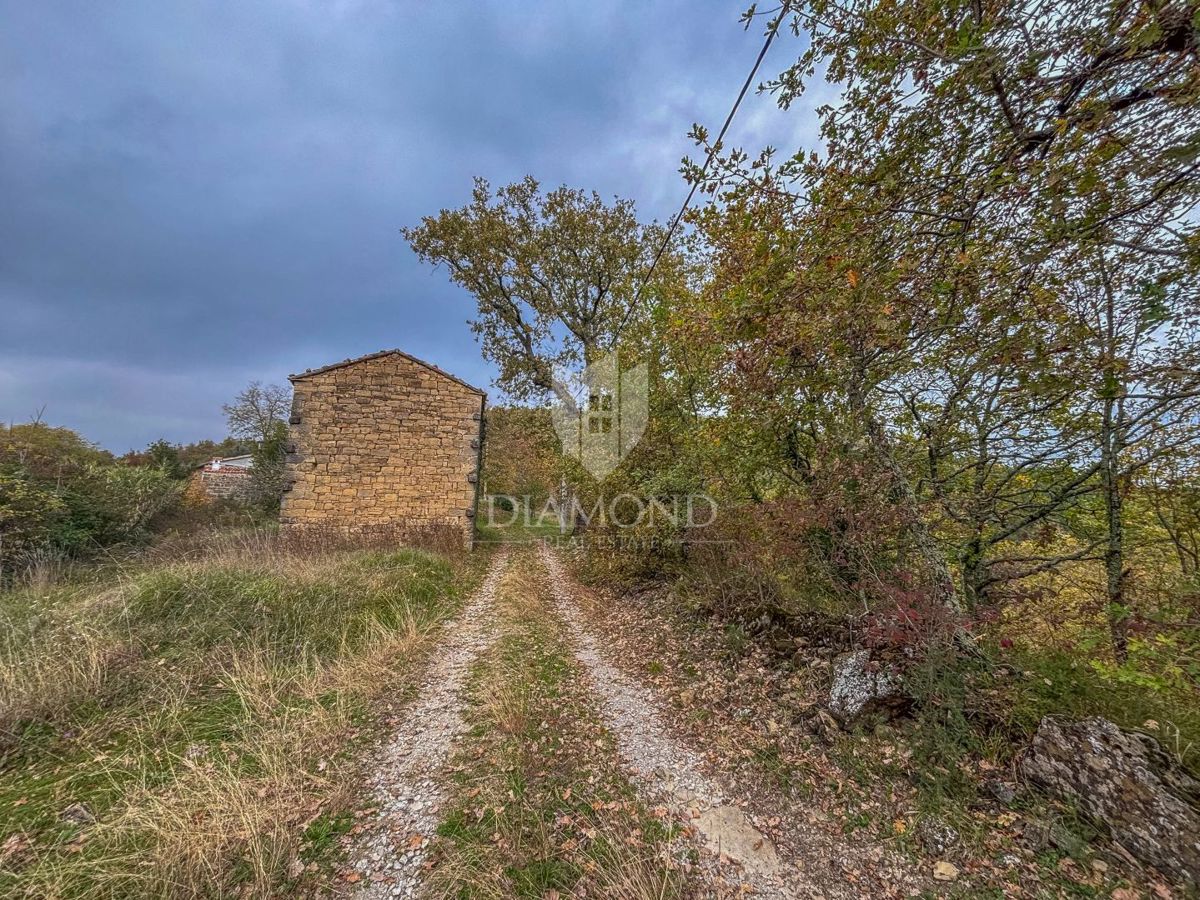 Motovun, Nepremičnina z odličnim razvojnim potencialom!