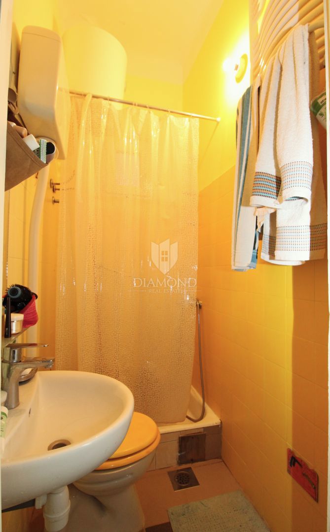 REKA, BRAJDA – PROSTORNO STANOVANJE V ŠIRŠEM SREDIŠČU MESTA