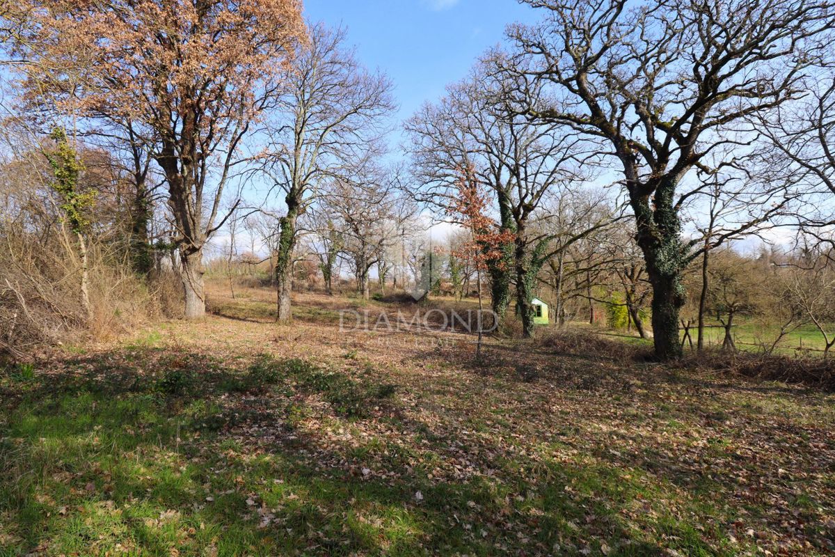 Kanfanar, okolica, pristna kmečka hiša z velikim vrtom