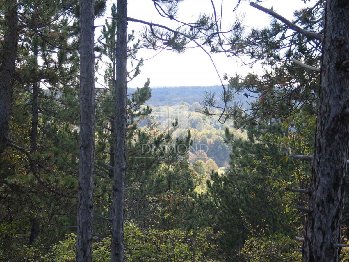 Posebno zemljišče v naravi z dokumentacijo