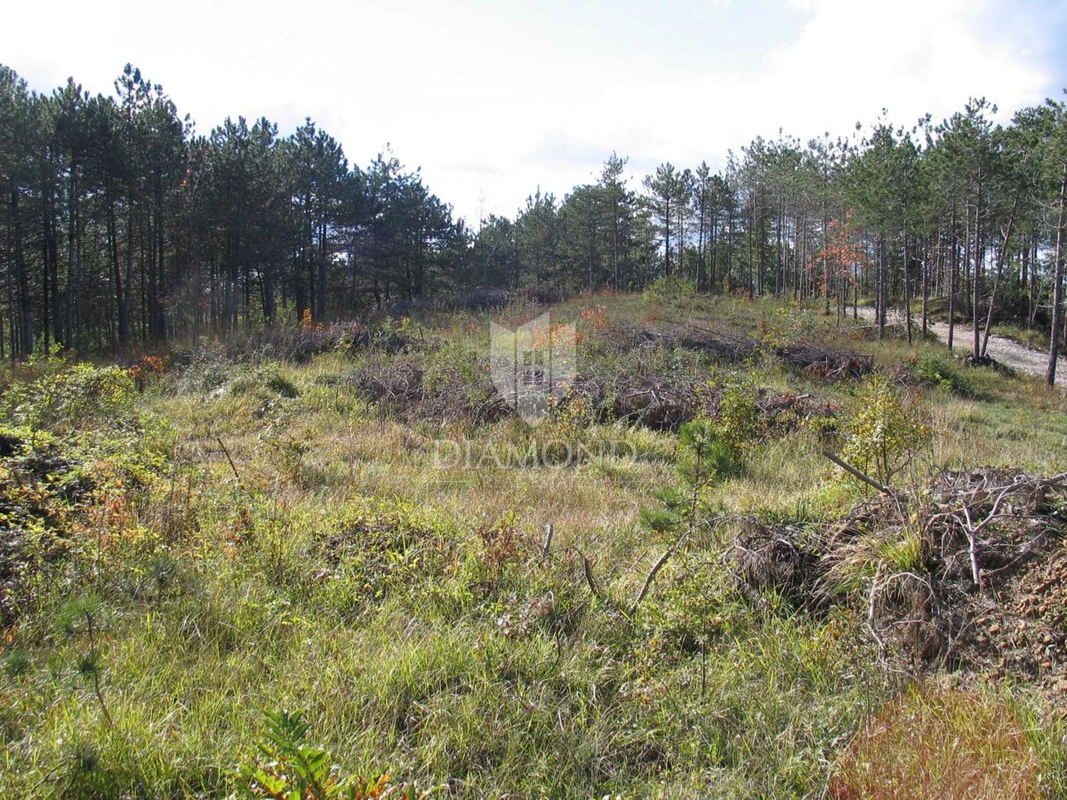 Posebno zemljišče v naravi z dokumentacijo