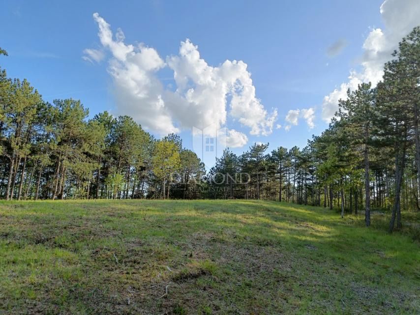 Posebno zemljišče v naravi z dokumentacijo