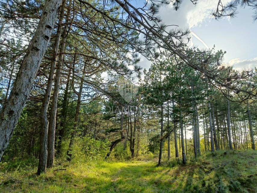 Posebno zemljišče v naravi z dokumentacijo
