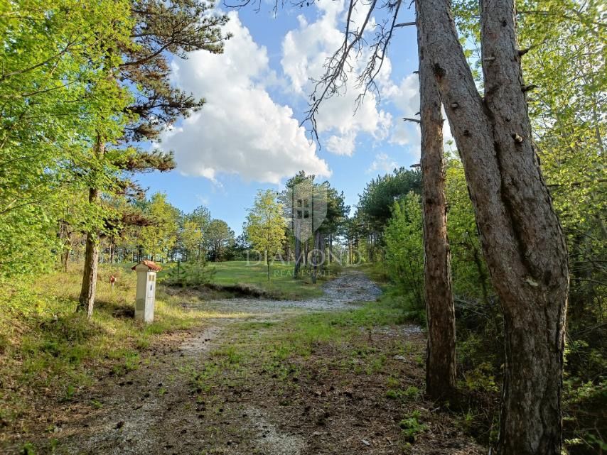 Posebno zemljišče v naravi z dokumentacijo