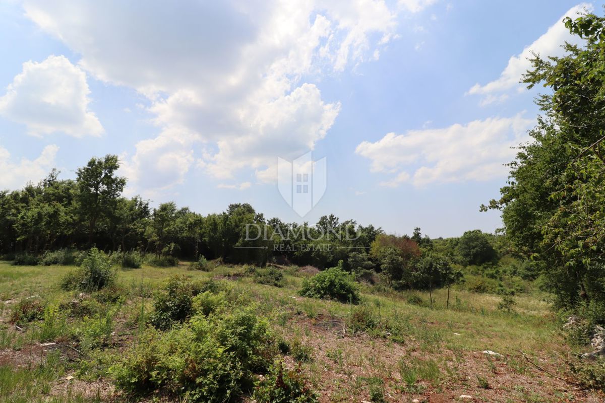 Gradbeno zemljišče blizu Žminja, podeželska idila