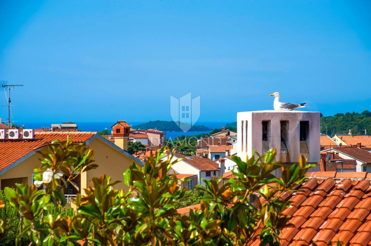 Rovinj, nepremičnine za poslovanje in bivanje na odlični lokaciji