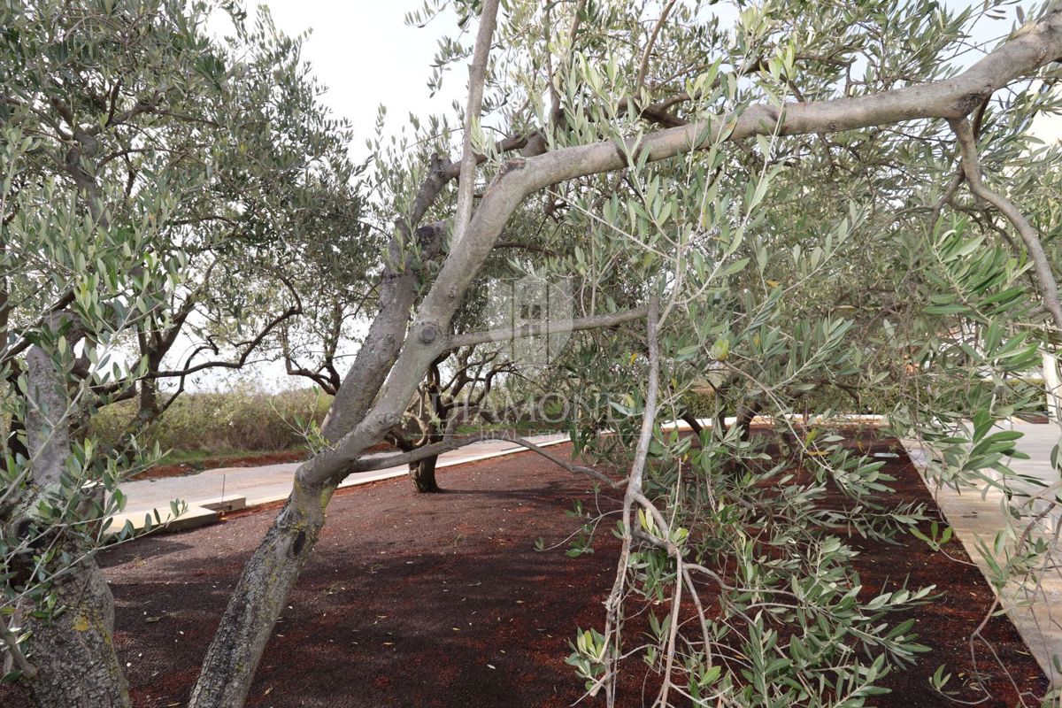 STOP! Vila z bazenom in 4 spalnicami, le 3 km od Poreča – takšne priložnosti ne ostanejo dolgo na trgu