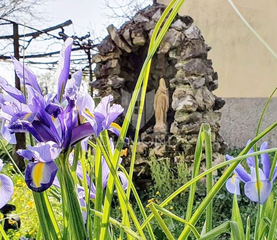 Labin, okolica, tradicionalna istrska kamnita hiša