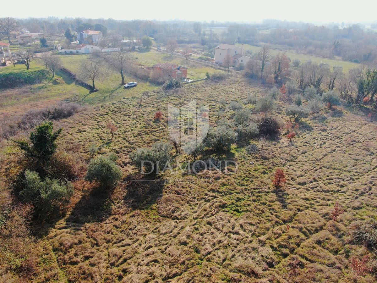Zemljišče Barban, 1.000m2