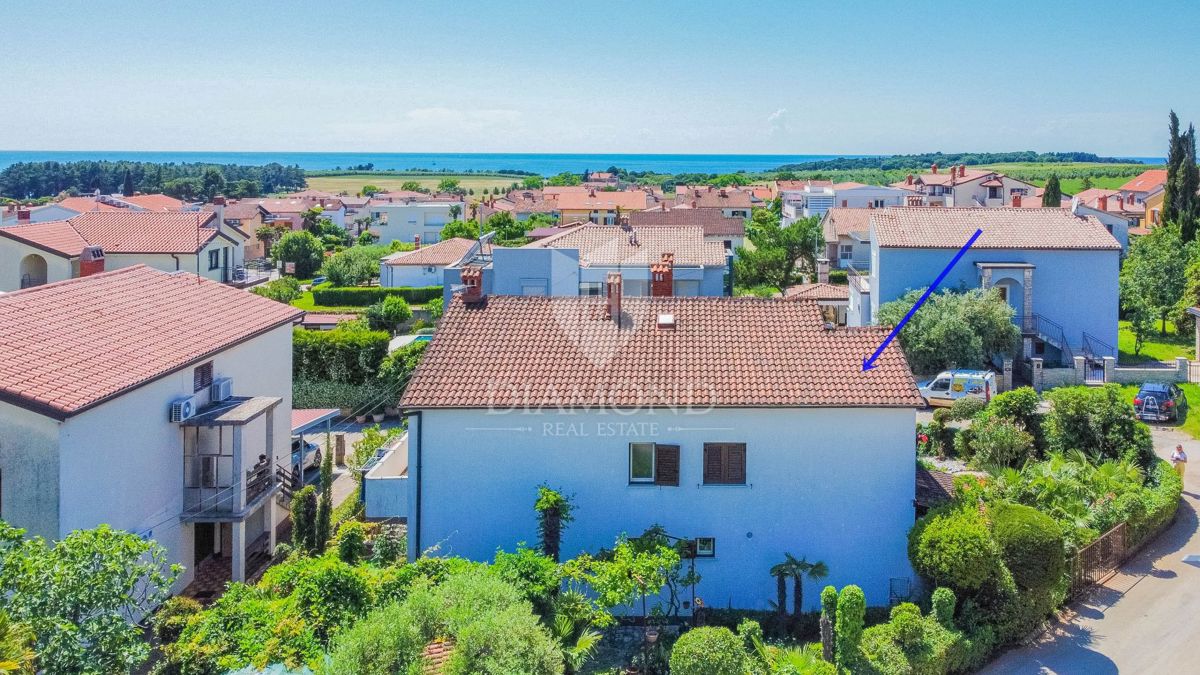 Hiša Novigrad, 245m2