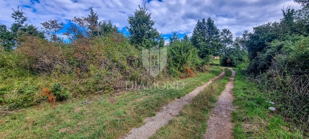 Žminj, okolica, prostorno zemljišče na koncu vasi