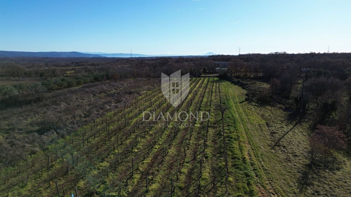 Zemljišče Barban, 1.381m2