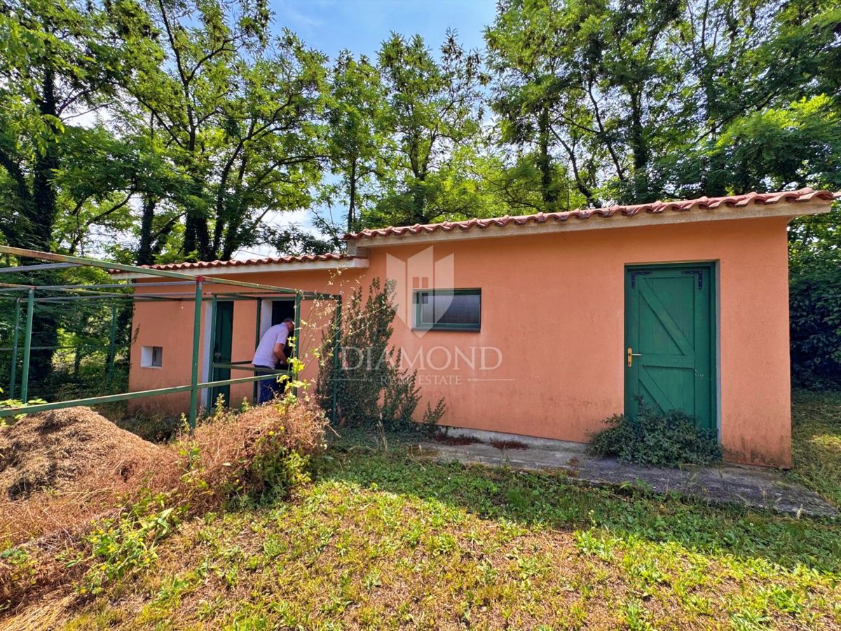 Hiša Kršan, 180m2