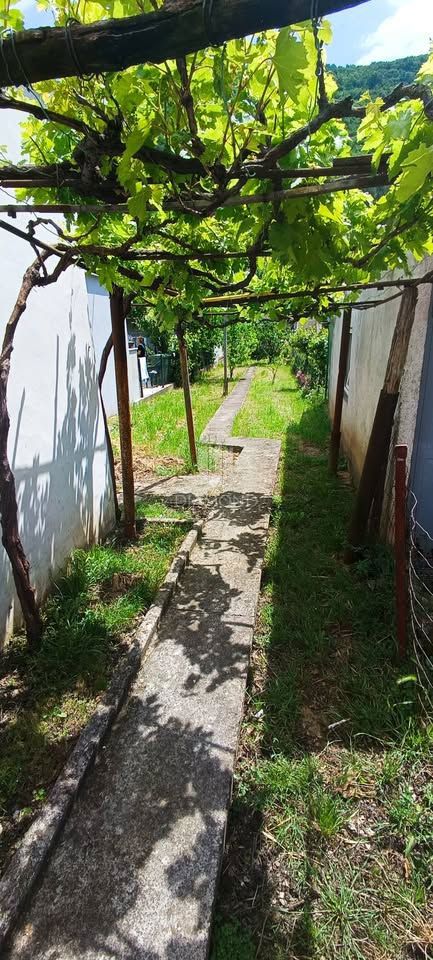 Apartma v Raši