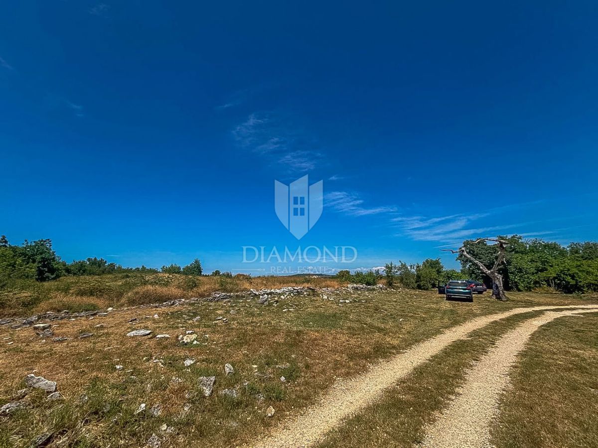 Istra, Umag, okolica, hiša z bazenom in vrtom!