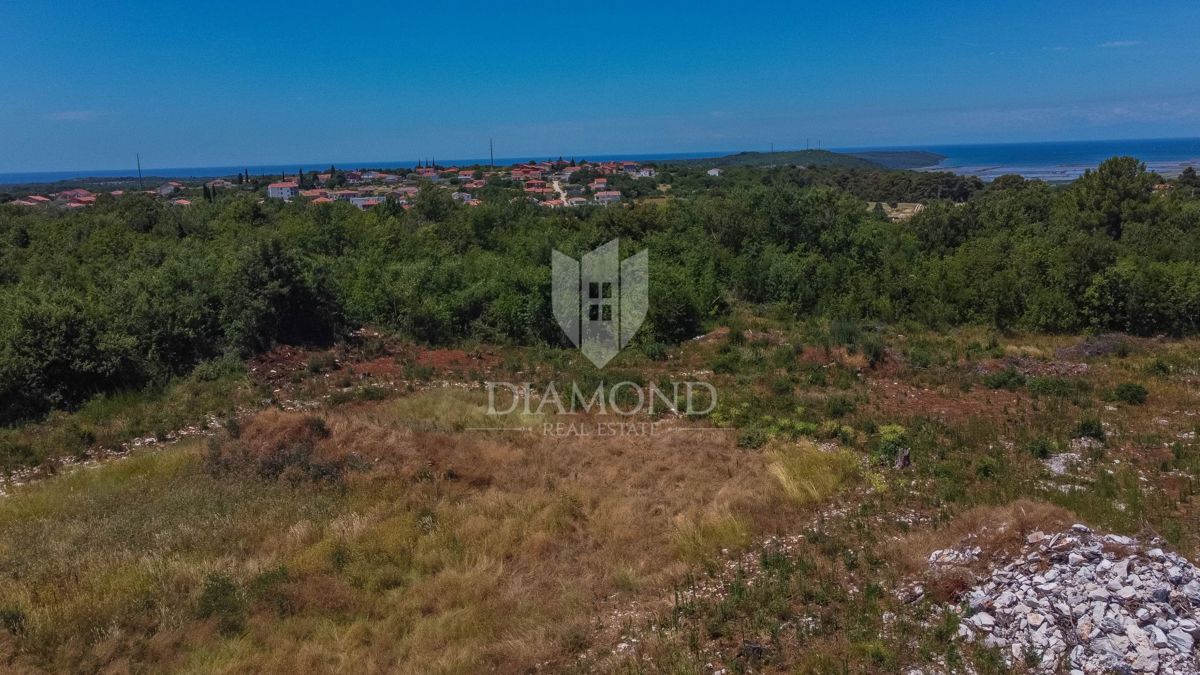 Istra, Umag, okolica, hiša z bazenom in vrtom!