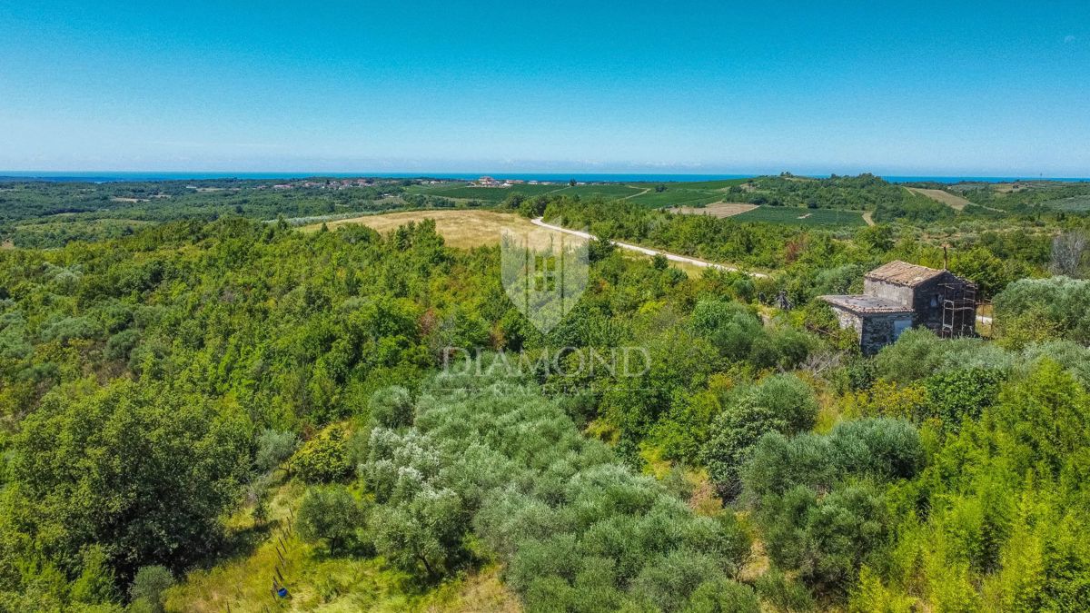 Buje, Krasica, zemljišče 2.000 m² z odprtim razgledom in projektom!