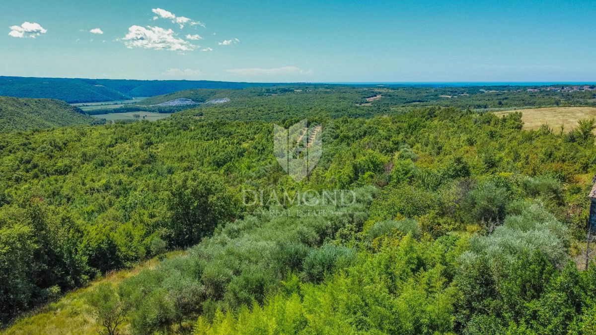 Buje, Krasica, zemljišče 2.000 m² z odprtim razgledom in projektom!