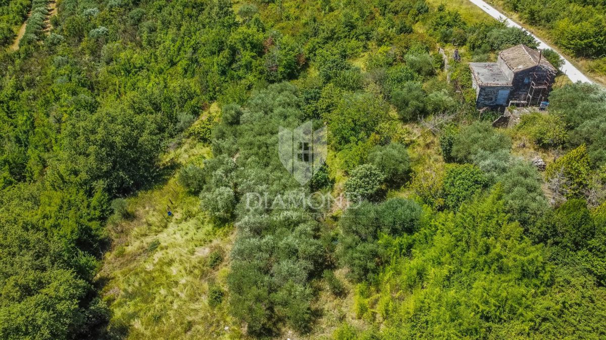 Buje, Krasica, zemljišče 2.000 m² z odprtim razgledom in projektom!