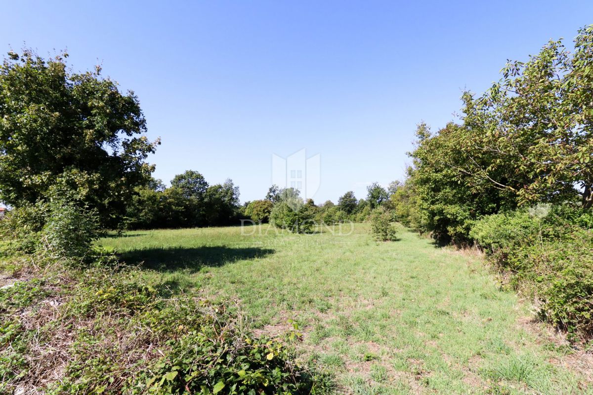 Vodnjan, okolica - odlično gradbeno zemljišče!