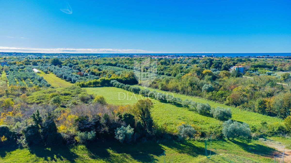 Umag, zemljišče 1250 m² na odlični lokaciji!