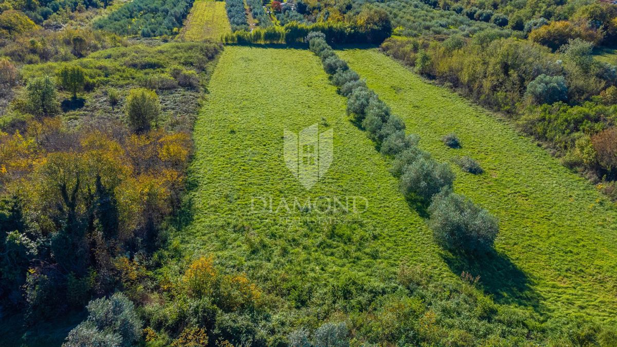 Umag, zemljišče 1250 m² na odlični lokaciji!