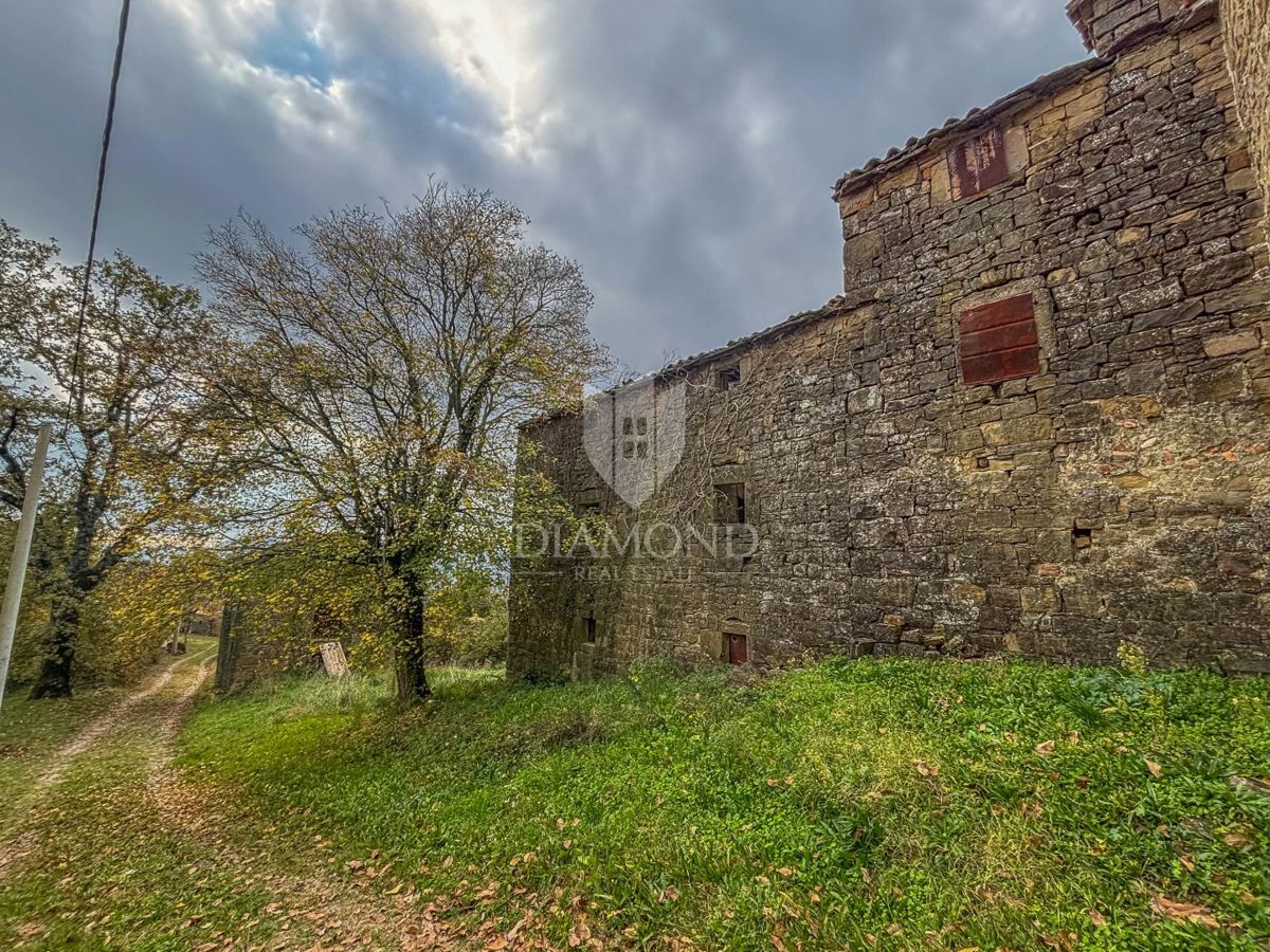 Motovun, Nepremičnina z odličnim razvojnim potencialom!