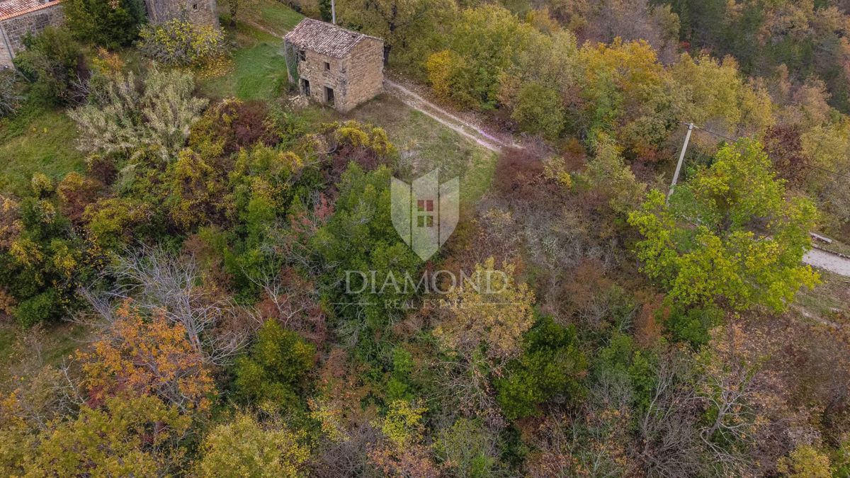 Motovun, Nepremičnina z odličnim razvojnim potencialom!