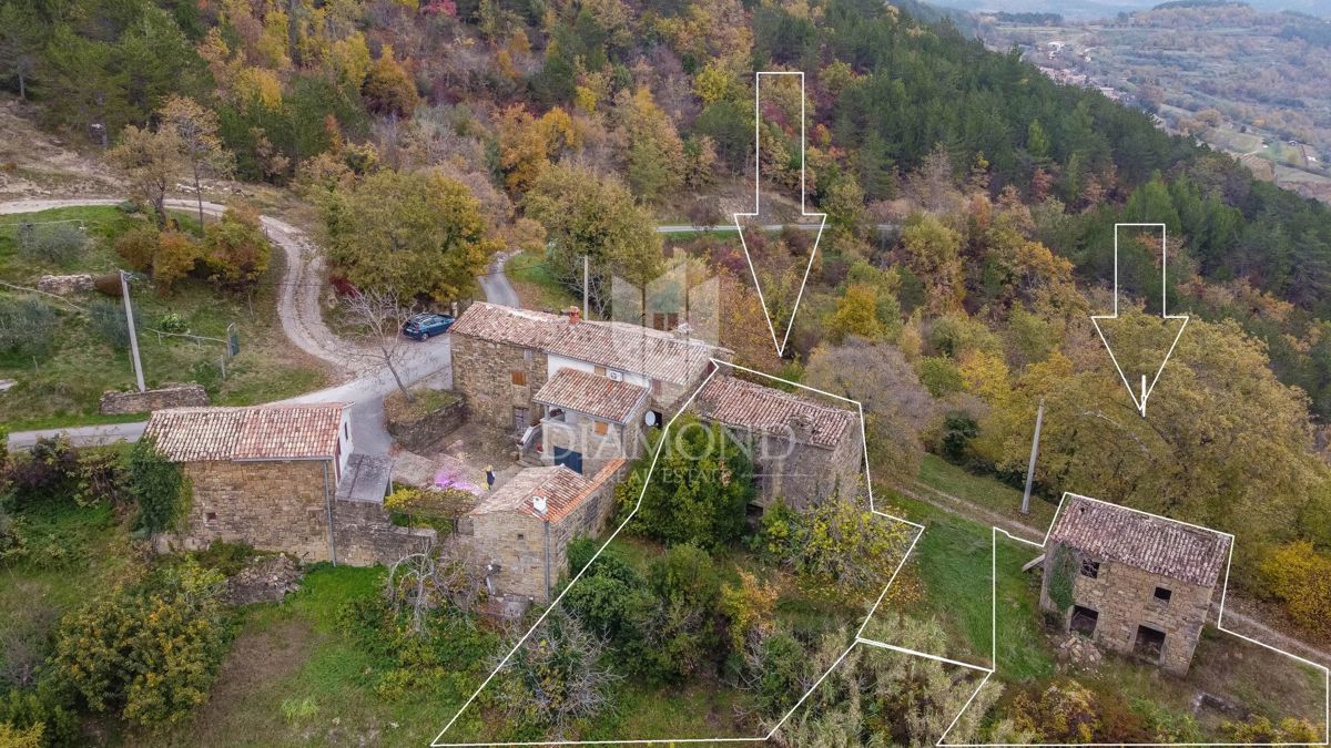 Motovun, Nepremičnina z odličnim razvojnim potencialom!