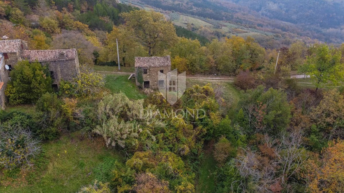 Motovun, Nepremičnina z odličnim razvojnim potencialom!