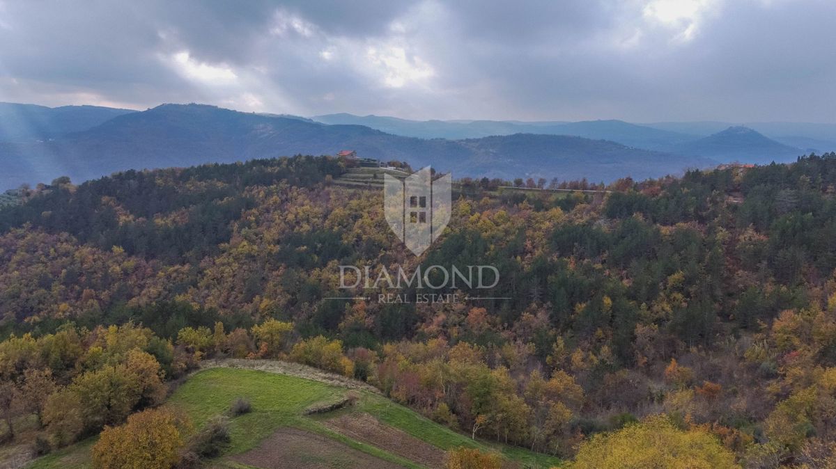 Motovun, Nepremičnina z odličnim razvojnim potencialom!