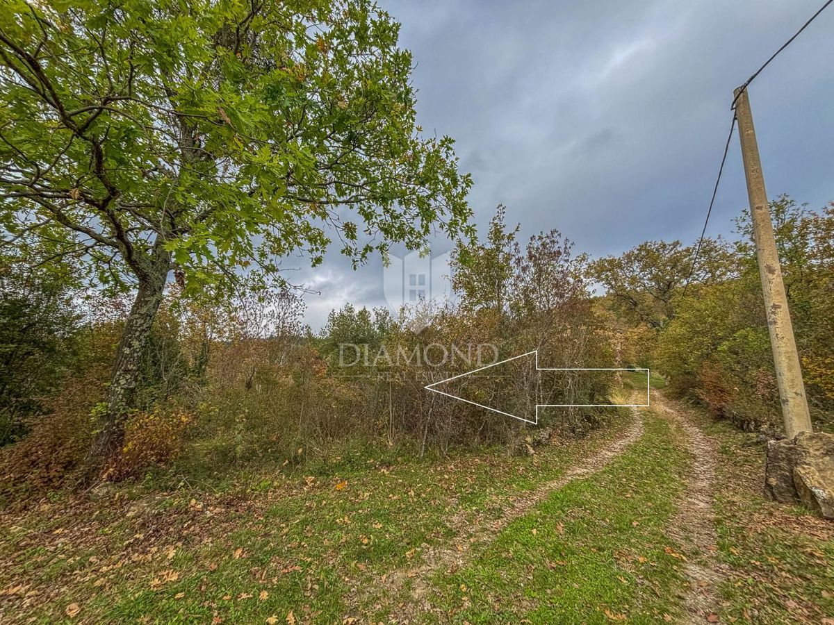 Motovun, Nepremičnina z odličnim razvojnim potencialom!