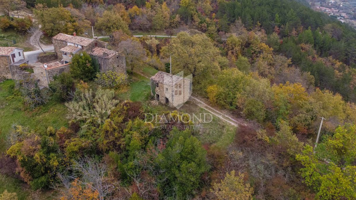 Motovun, Nepremičnina z odličnim razvojnim potencialom!