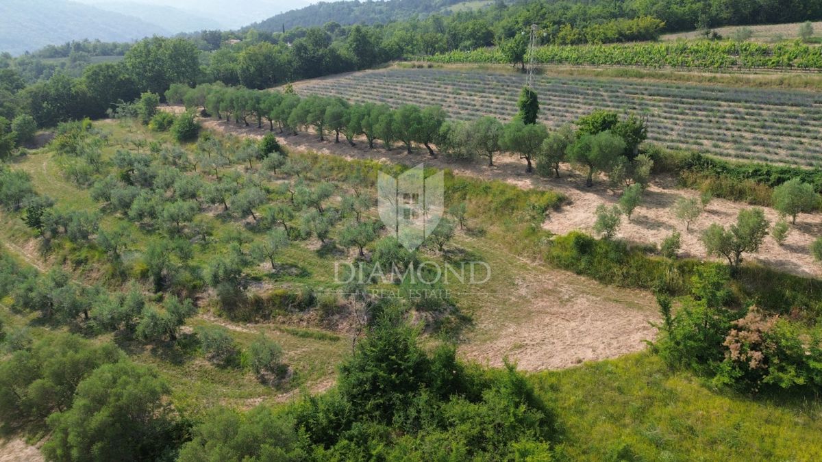 Istra, osamljeno zemljišče z veljavnim gradbenim dovoljenjem