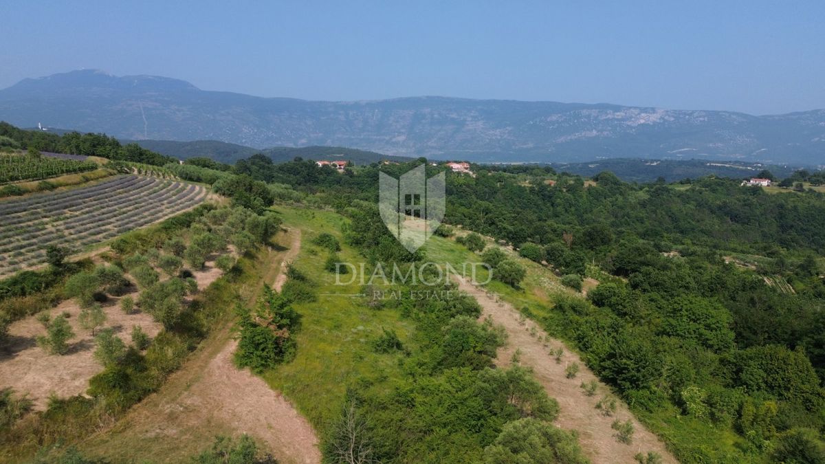 Istra, osamljeno zemljišče z veljavnim gradbenim dovoljenjem