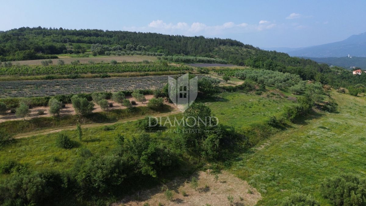 Istra, osamljeno zemljišče z veljavnim gradbenim dovoljenjem