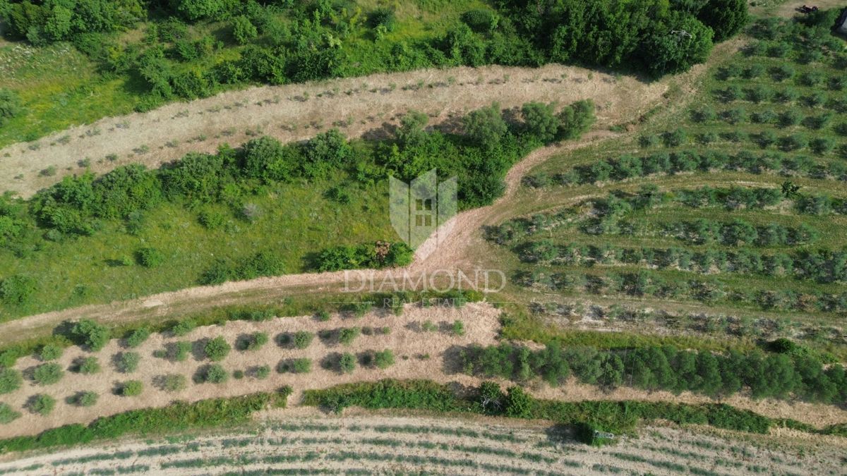 Istra, osamljeno zemljišče z veljavnim gradbenim dovoljenjem