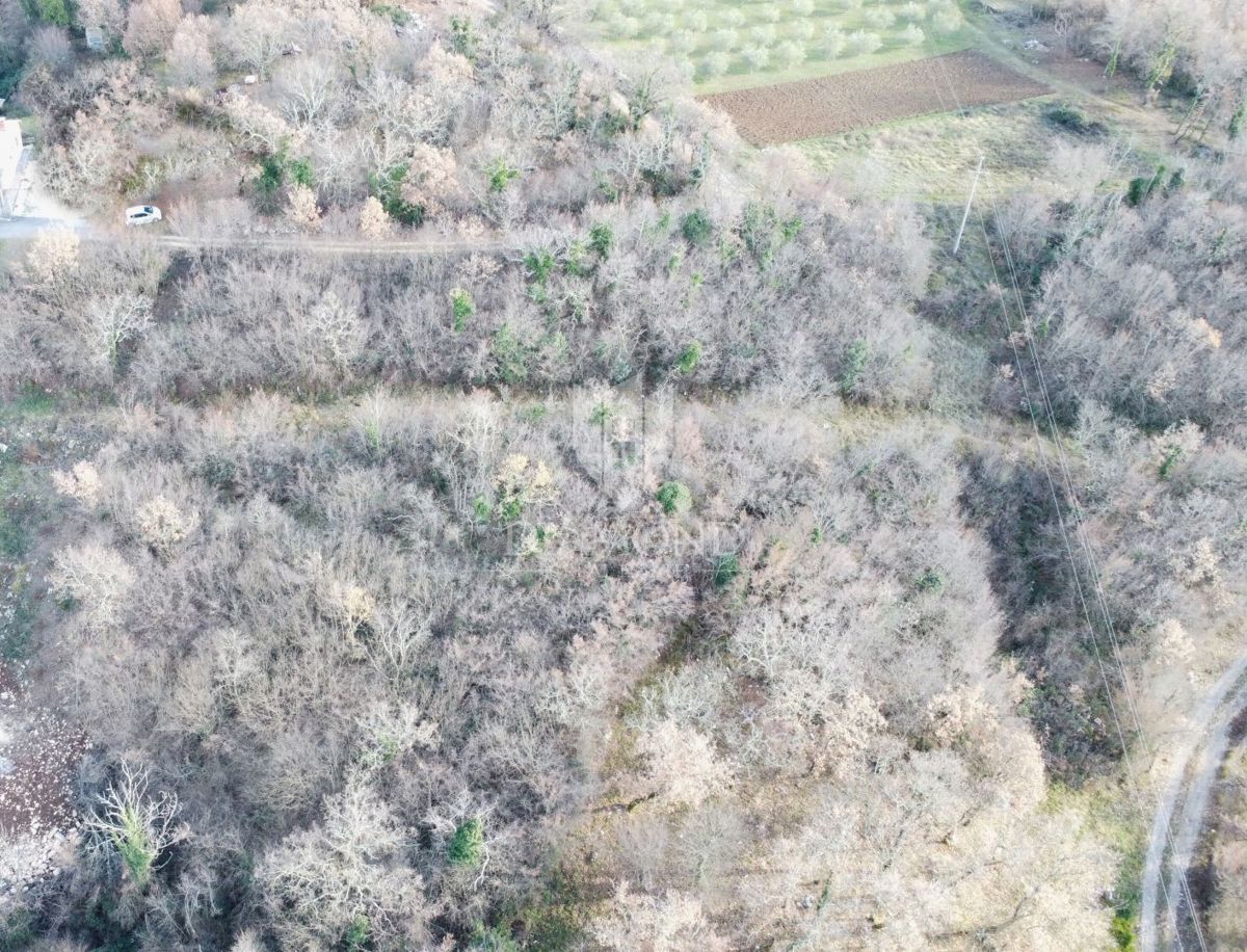 Poreča, okolica, robno zemljišče s pogledom na morje