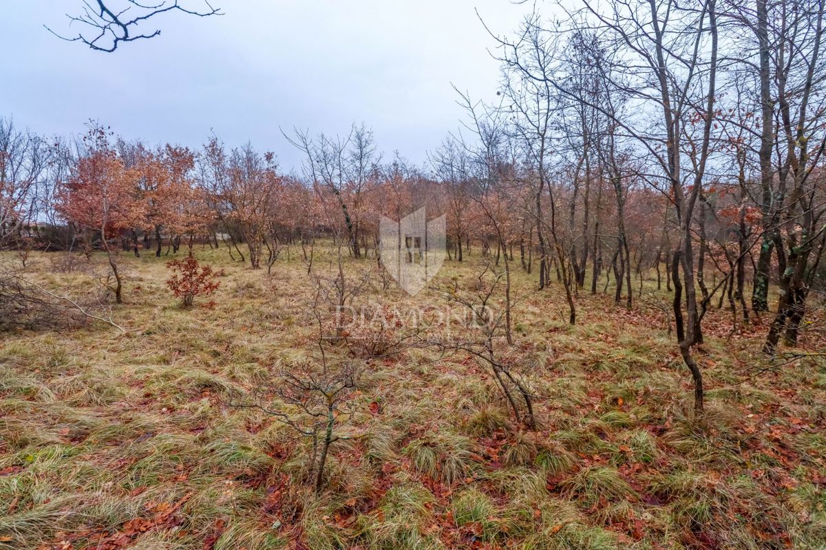 Žminj, prostorna zemlja za nove projekte