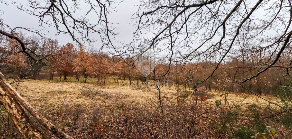 Žminj, prostorna zemlja za nove projekte