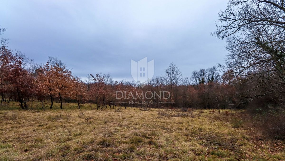 Žminj, prostorna zemlja za nove projekte