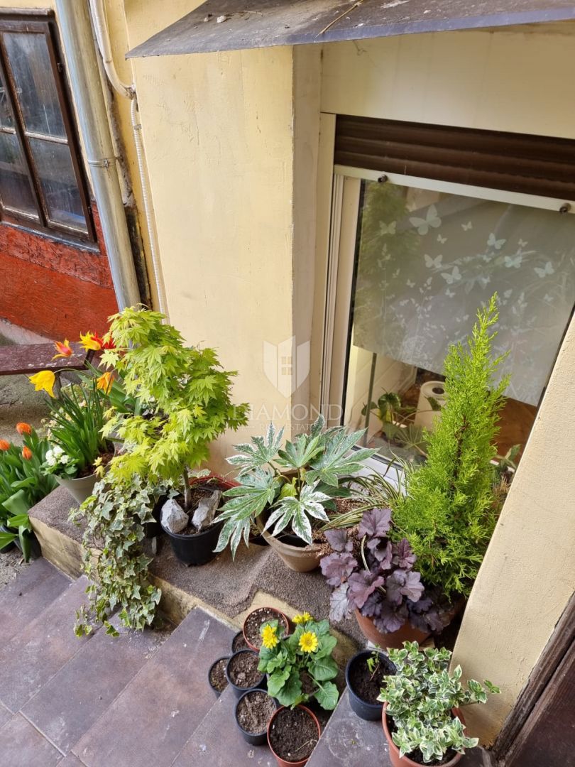 Apartmaj Donji grad, Donji Grad, 24,50m2