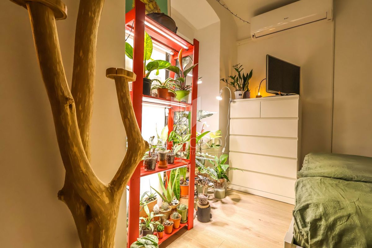 Apartmaj Donji grad, Donji Grad, 24,50m2