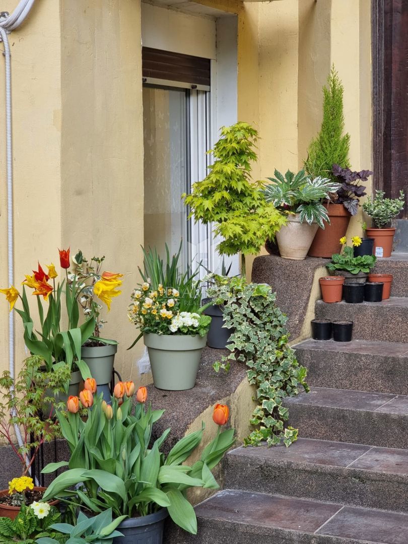 Apartmaj Donji grad, Donji Grad, 24,50m2