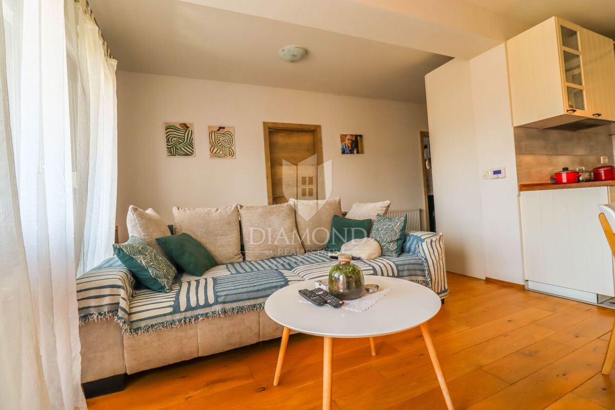 Apartmaj Savska Opatovina, Stenjevec, 60m2