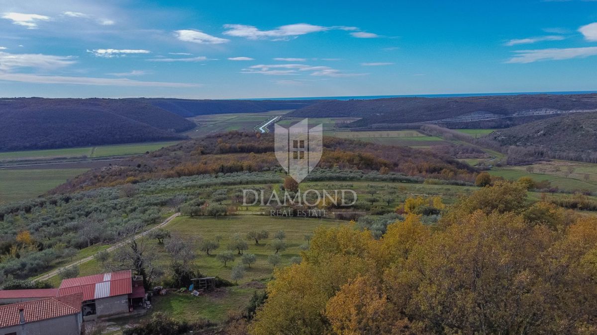 Buje, očarljiva hiša z bazenom v bližini Grožnjana!