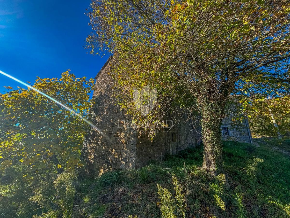 Motovun, Nepremičnina z odličnim razvojnim potencialom!