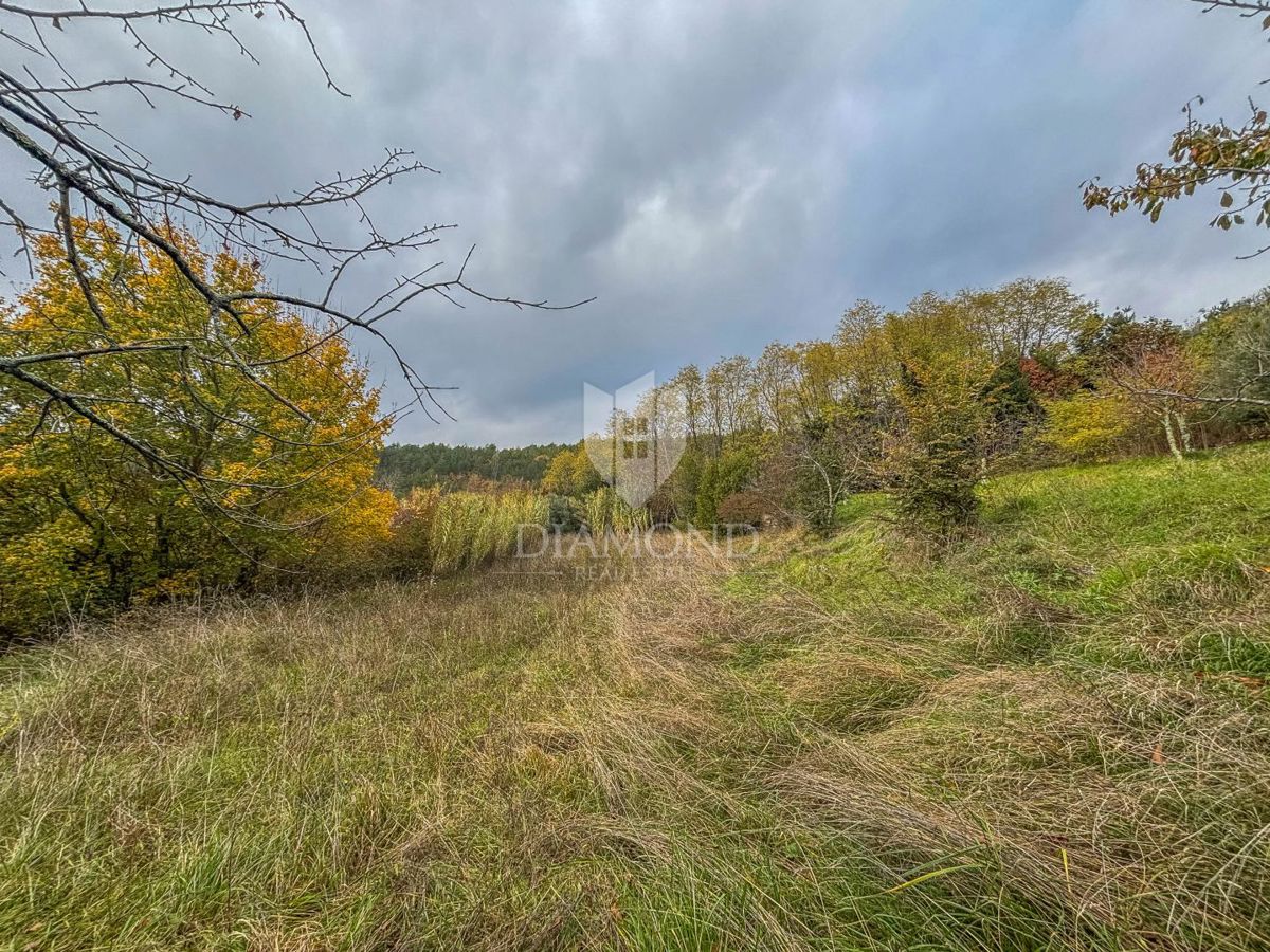 Motovun, Nepremičnina z odličnim razvojnim potencialom!